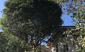 Loft Palácio de Cristal